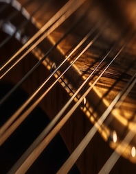 12 string guitar strings.webp 1