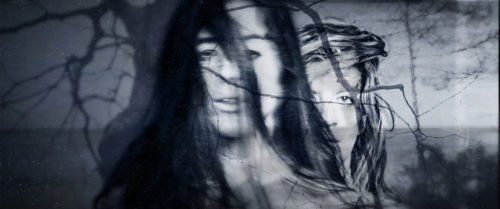 EchoNarcissus03 p 500x209 1