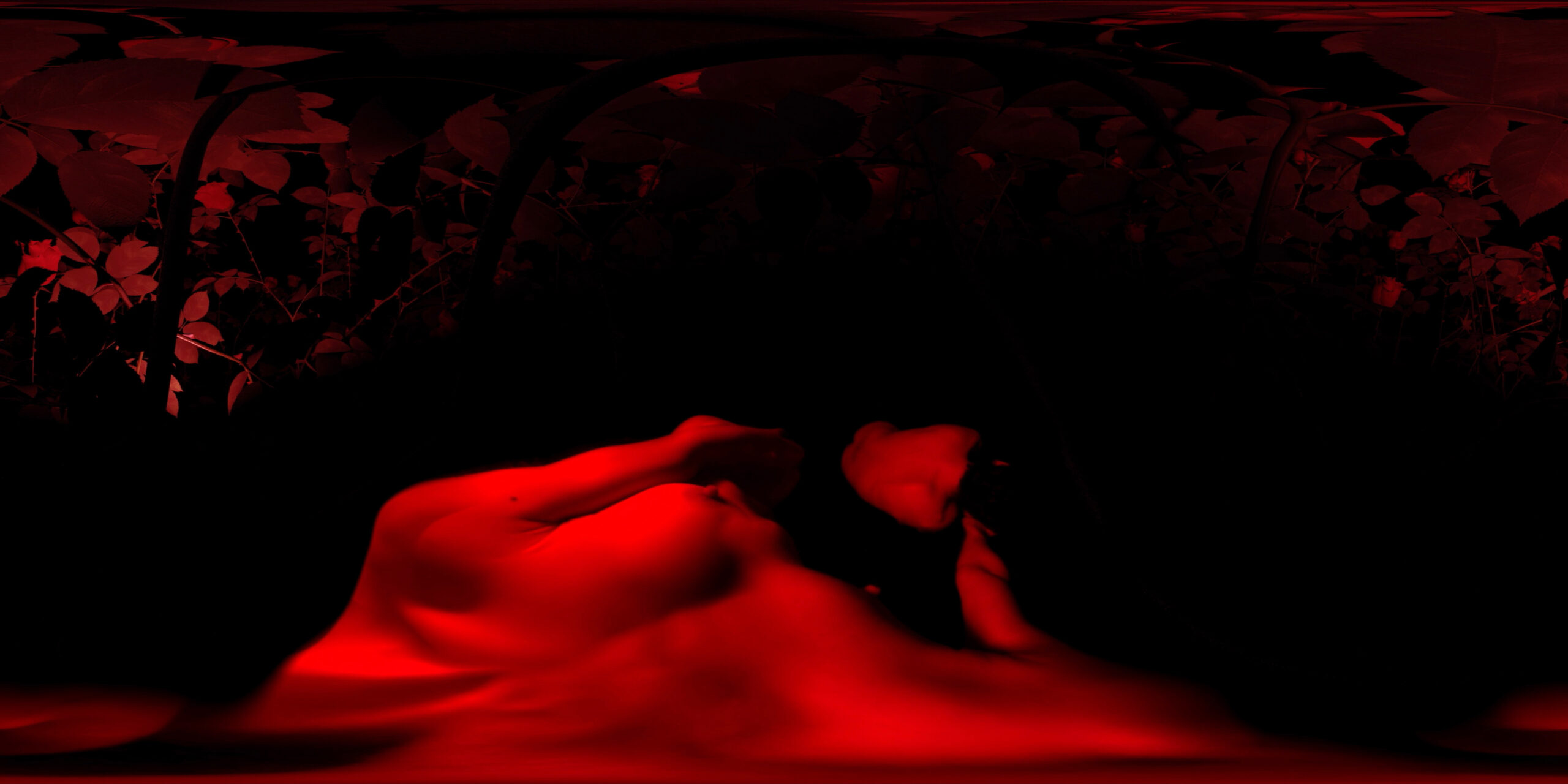 red stills 0012514 scaled 1